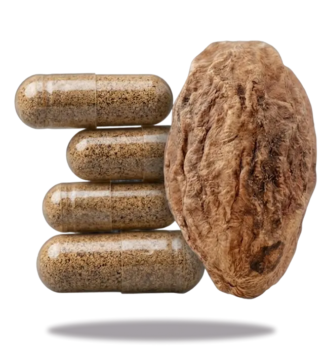 Haritaki Third Eye Capsules